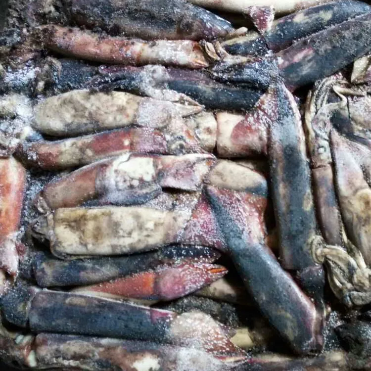 Hot Sale Frozen North Pacific Squid Neon Flying Squid For Processing Or Bait