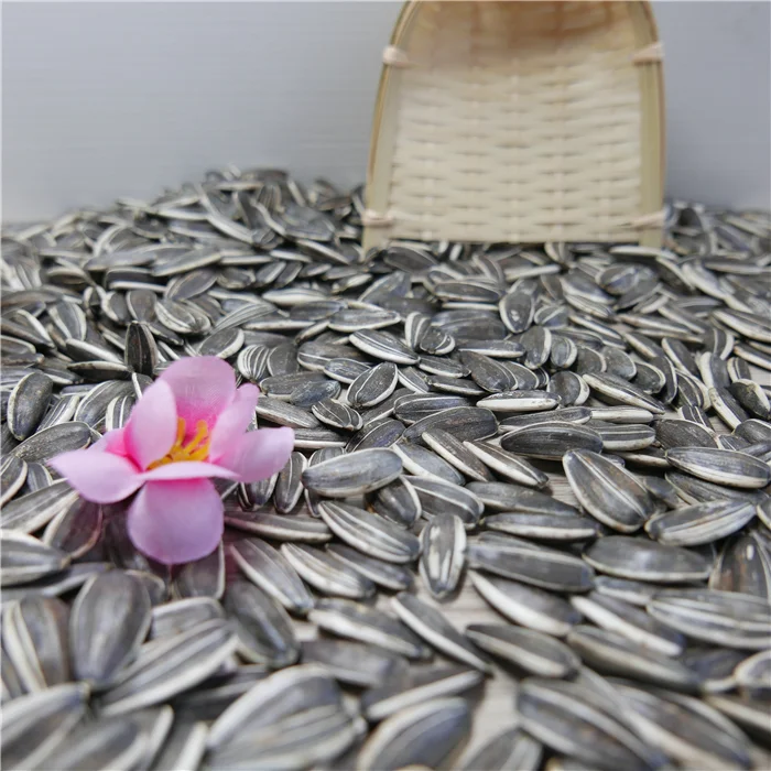 Семена черного подсолнечника разных типов 5009 363 3939 по лучшей цене