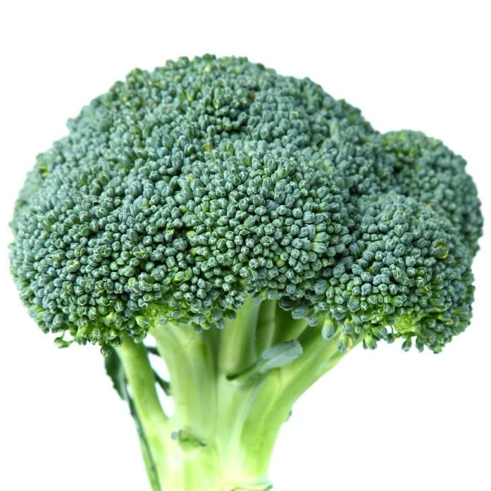 fresh natural broccoli seeds
