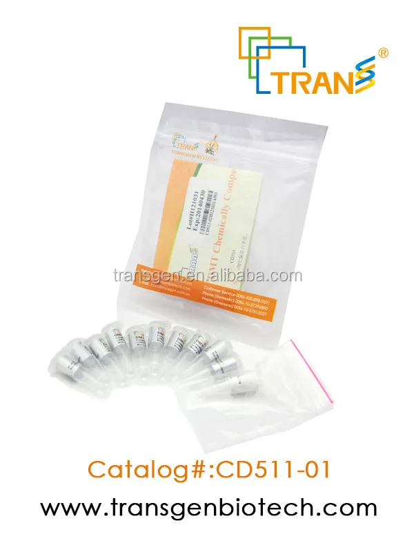 
DMT Chemically Competent Cell 