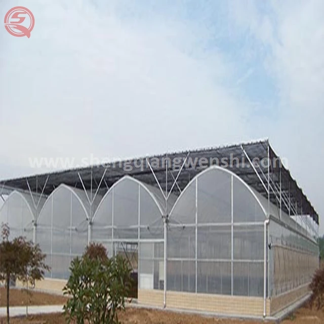 Low cost agriculture plastic film home multi span tunnel greenhouse for sale