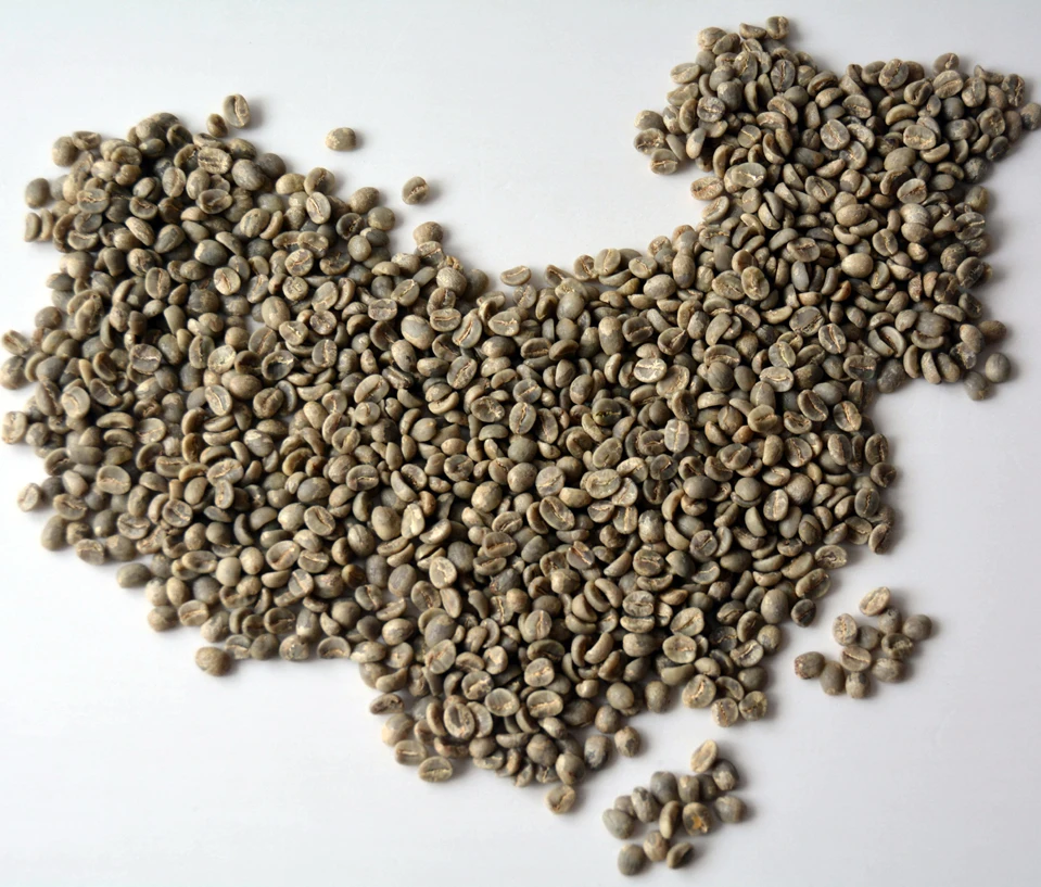 
High quality organic unroasted arabica coffee beans 