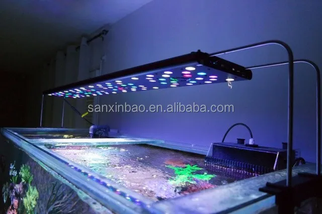 Светодиодный светильник для аквариума, 2017 evergrow не Новый IT5080 интеллигентая (ый) коралловых рифов 32 дюйма светодиодная аквариумная лампа