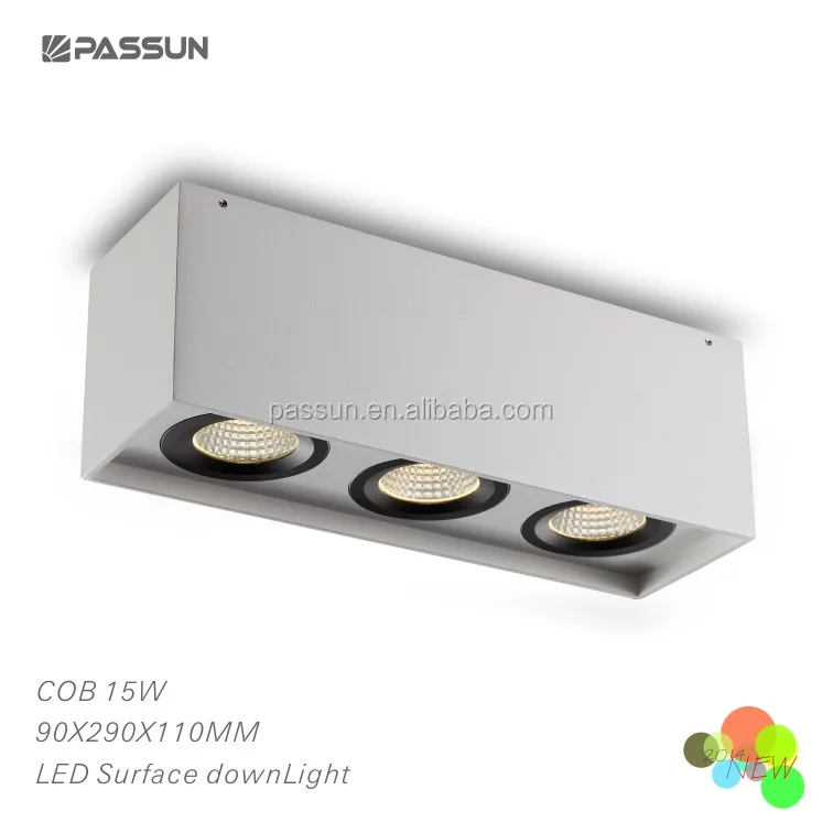 passun lighting two heads led downlight & surface led ceiling lamp