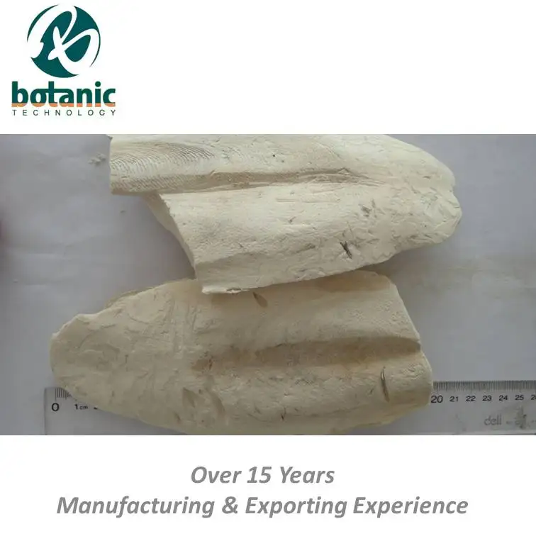 
Cuttlebone/fish feeder 