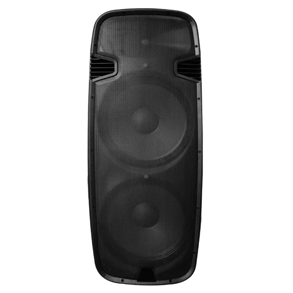 Dual 15 Inch Professional Indoor Active speaker powered speaker