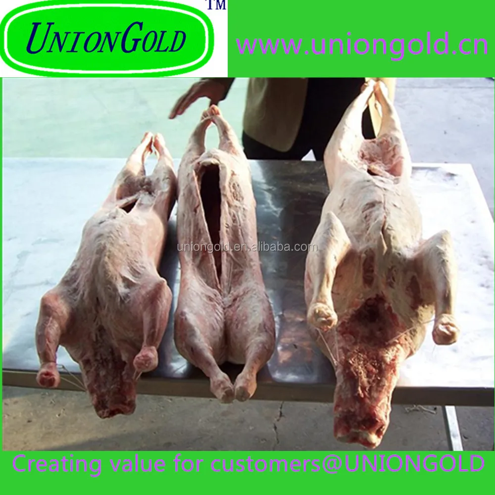 
fresh goat meat lamb carcasses 