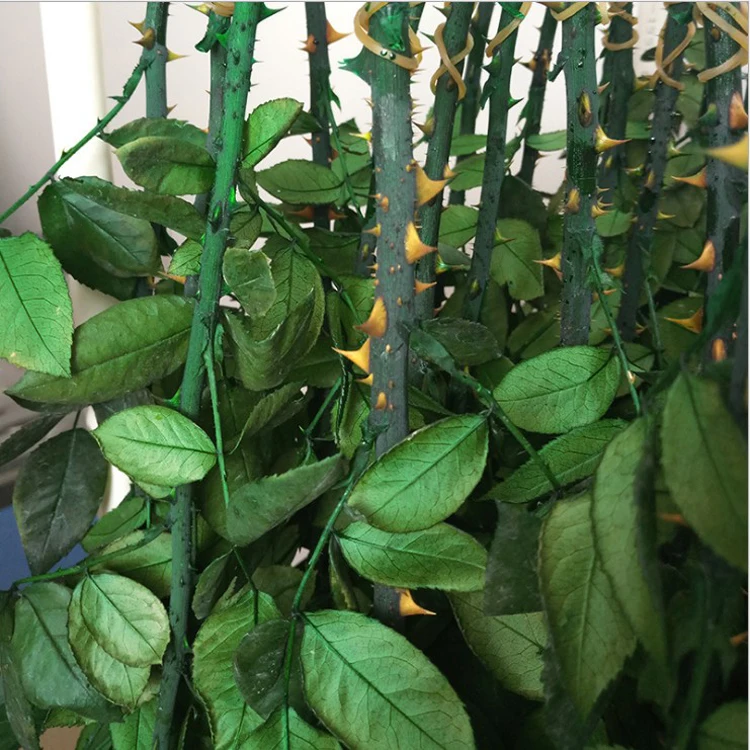 70cm Best Quality Natural long forever Preserved Rose Stem For Making Preserved Glass Dome Rose