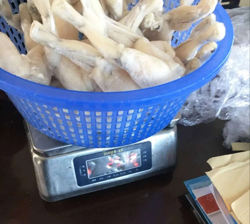 
Frozen High Quality Bull Frog Legs for sale 