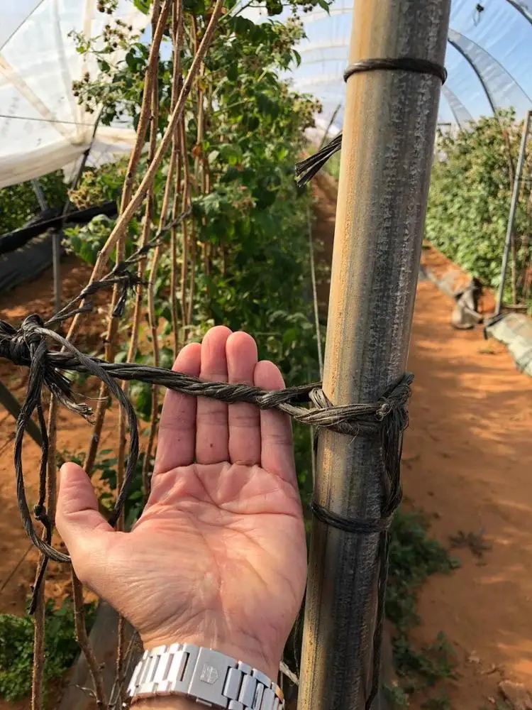 The cheapest agricultural greenhouse macro tunnel