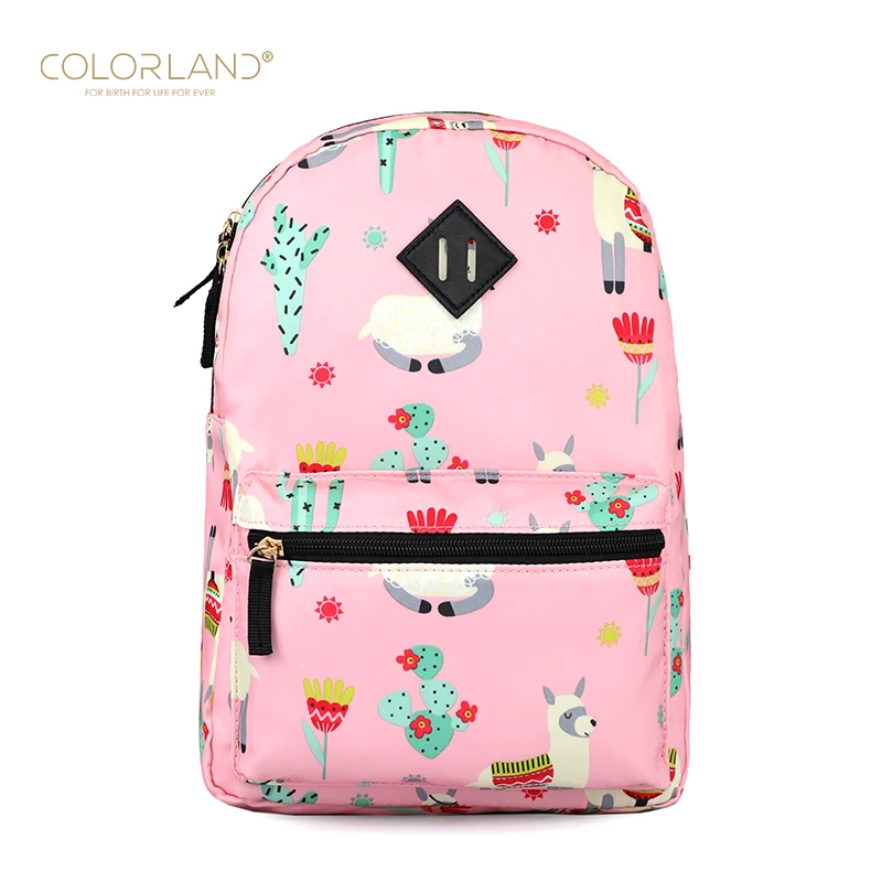 Colorland High Quality Durable Oem Pattern Kids School Bag Backpack