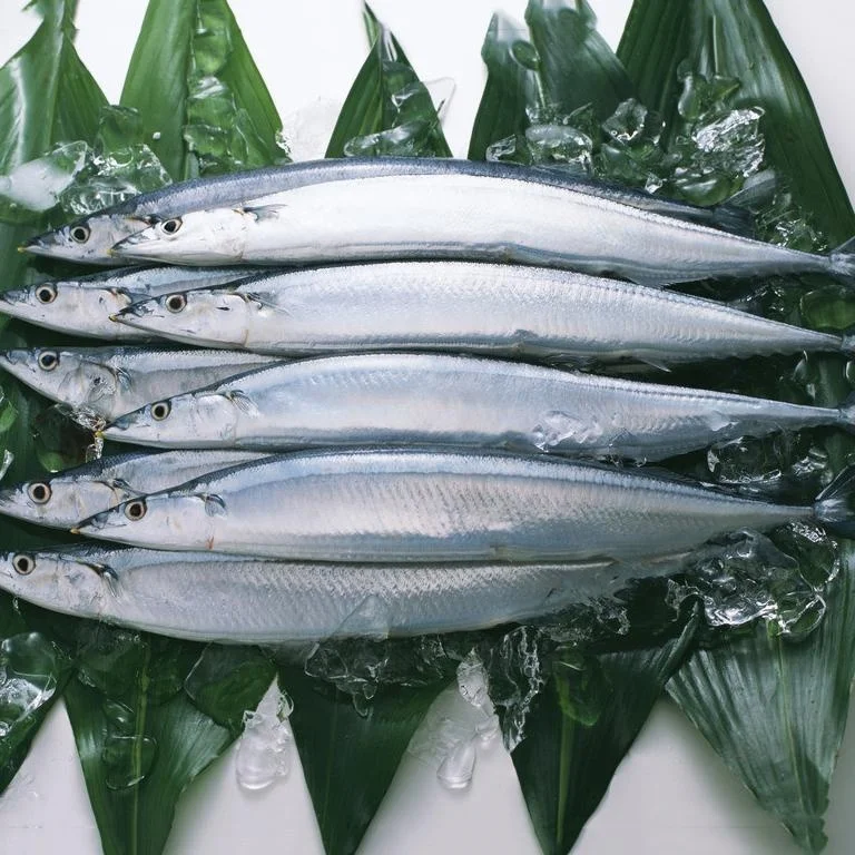 
2018 New arrive good quality Frozen Pacific Saury seafrozen fish for sale 