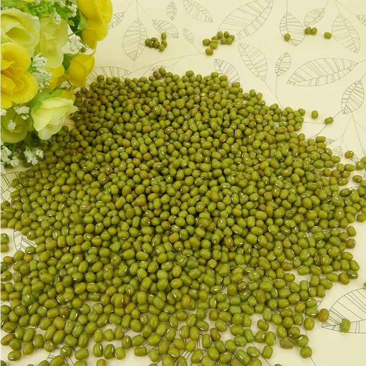 
Well selected small green mung bean 