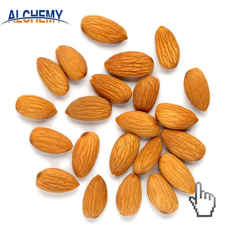 Ядра абрикоса в скорлупе