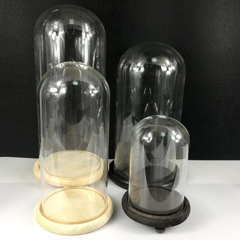 
OEM Factory Directly Glass Plant Terrarium High Quality Display Glass Dome Wholesale Glass Dome with Wooden Base 