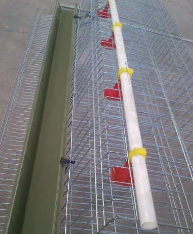 Efficient and durable chicken cage