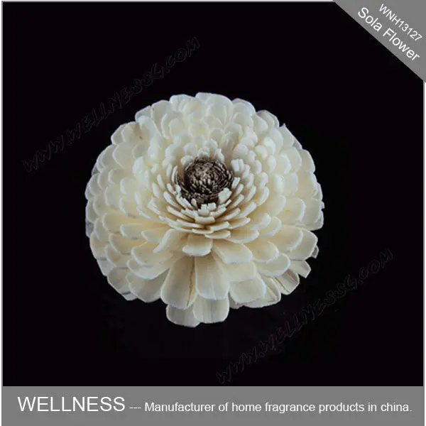 природных сола цветок для домашнего использования