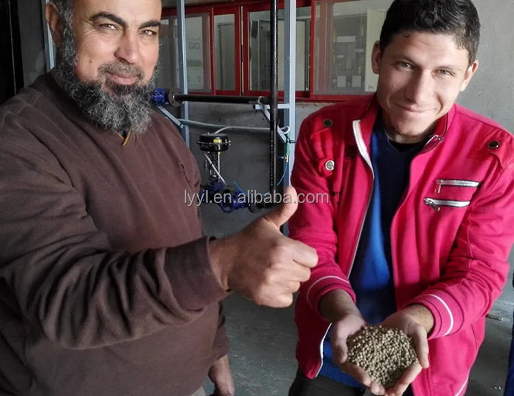 Floating fish feed production line