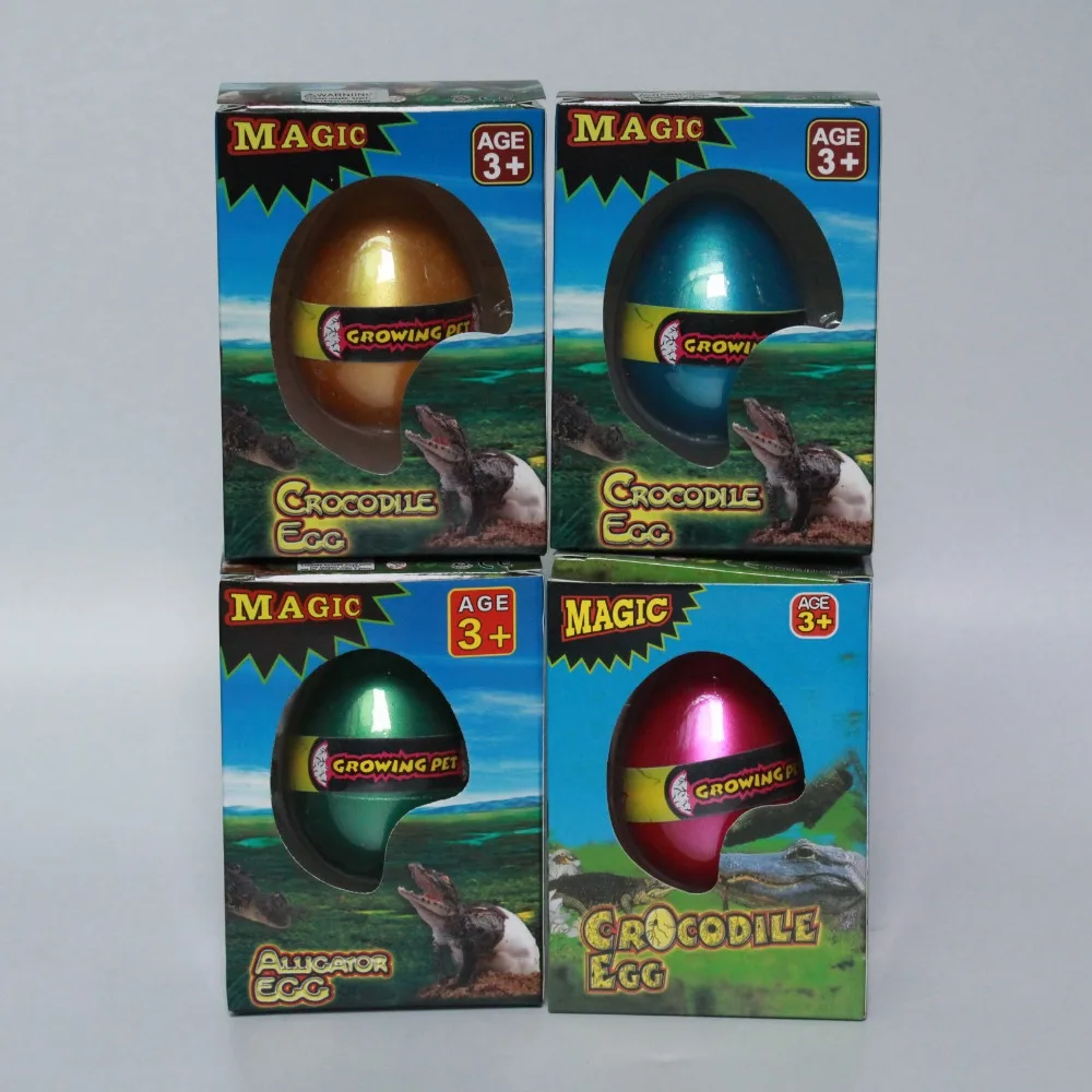 Hot Sale Factory Supply Hatching Crocodile Egg