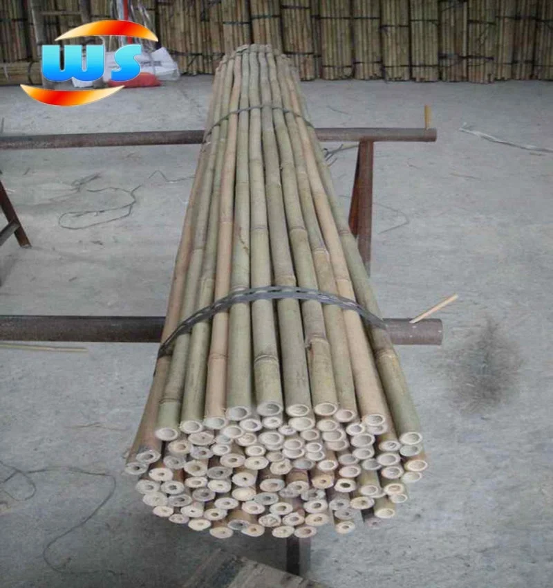 210cm Bamboo cane for garden
