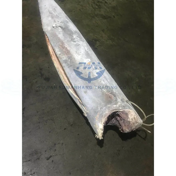 Frozen wahoo HGT 5KG+ (Acanthocybium solandri)