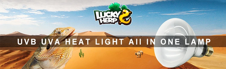 self-ballasted uv reptile light 160w r115 uvb bulb 110-240v mercury vapor lamp for chameleon