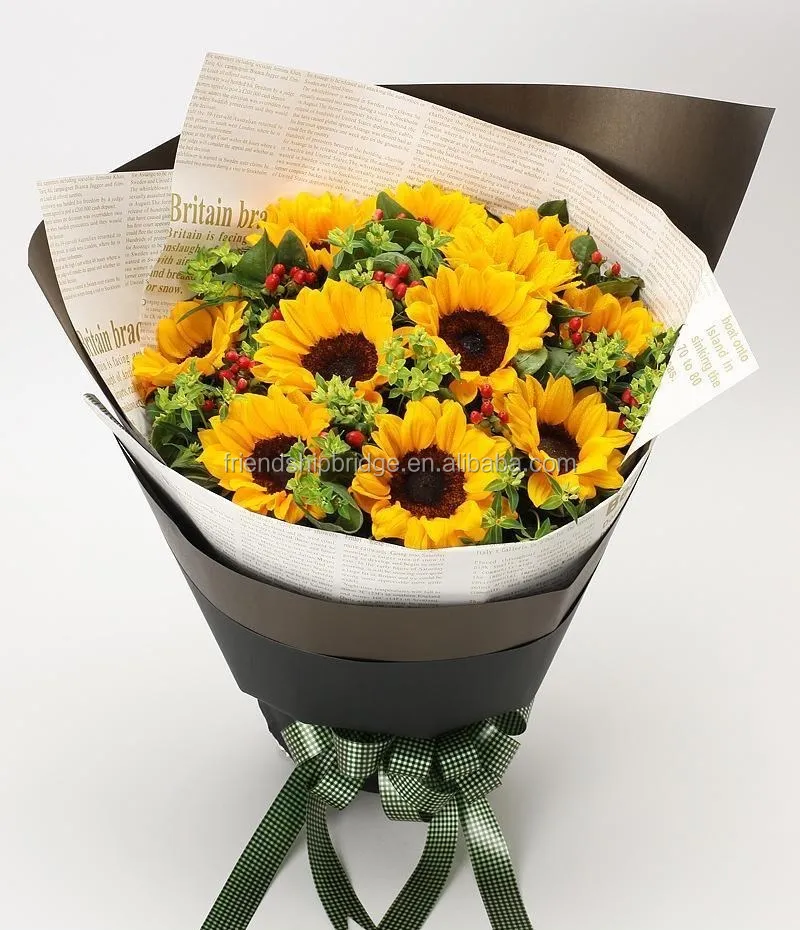 Beautiful fresh cut flower Helianthus annuus sunflower