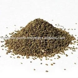 Finest Quality Widely Selling Pure And Natural Celery Seed Essential Oil for Wholesale Buyers