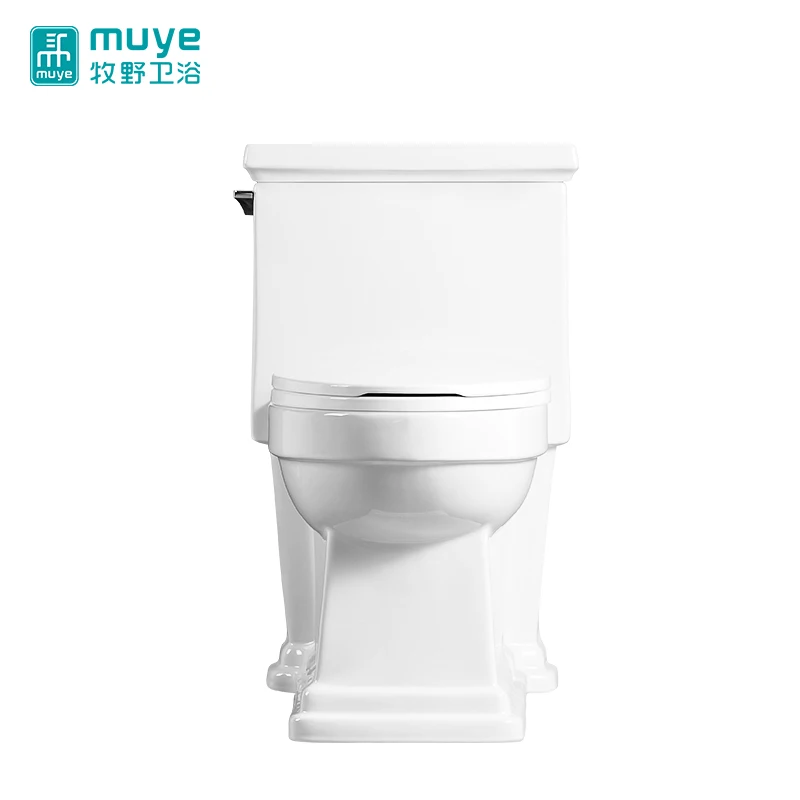 Personality Side Push Button Design Floor Install Siphonic Sanitary Ware One Piece Toilet