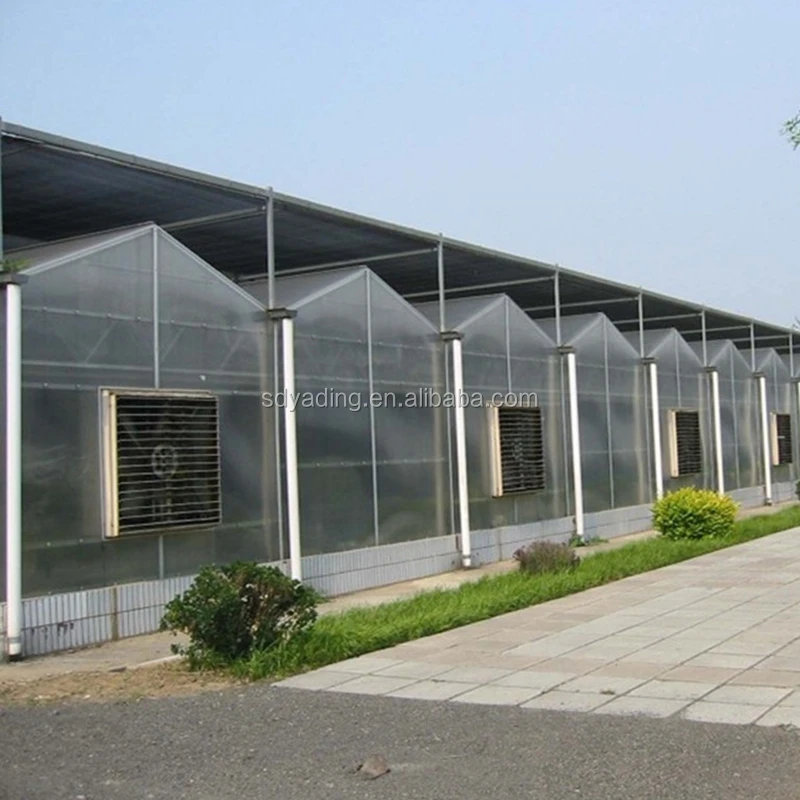 Cheap agriculture multispan greenhouse, tunnel greenhouse for cultivation