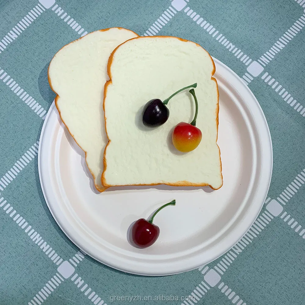 Bio compostable  degradable tableware dinner sets 9 inch disposable sugarcane bassage paper pulp plate