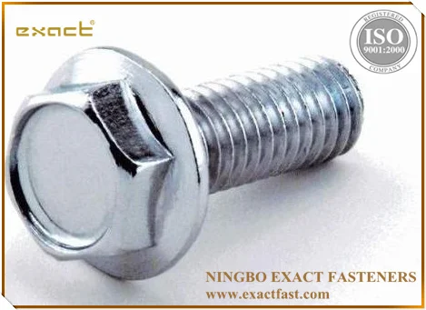 HEX HEAD Flange Bolts DIN6921