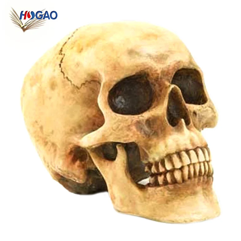 Good quality retro wholesale resin decorative artificial life size skull (60674958091)