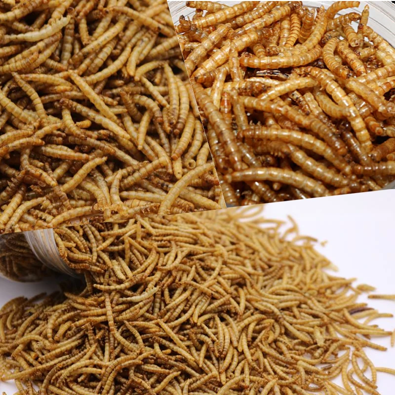 Курица пищевой сушеные хрущак мучной добавки корма для животных