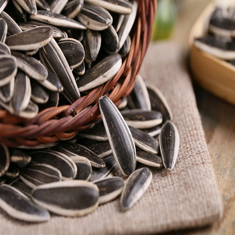 wholesale Chinese sunflower seeds 601
