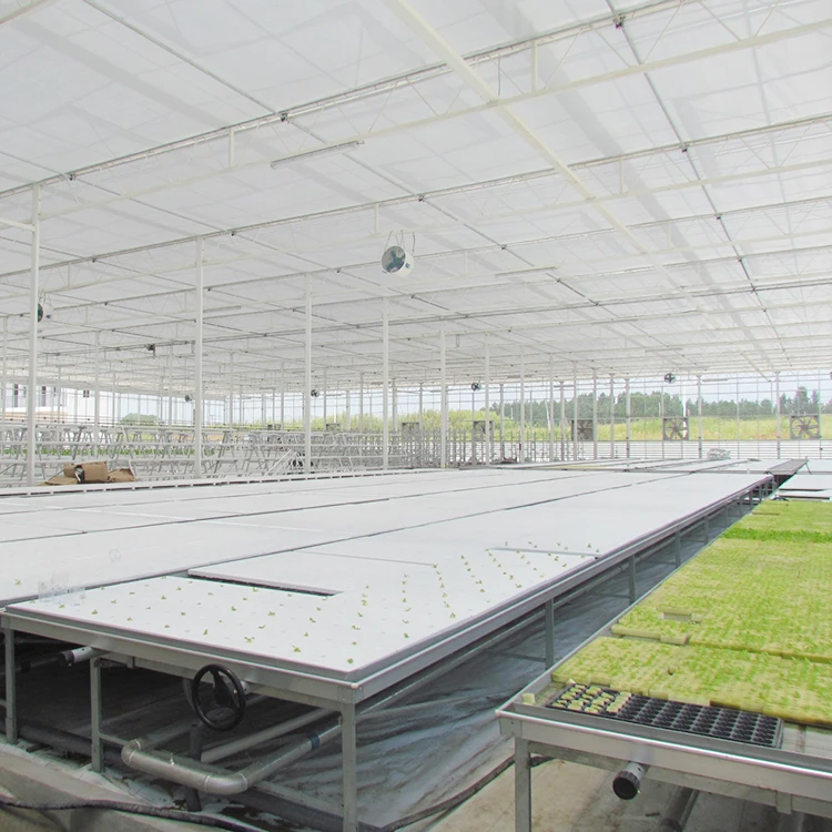 Natural ventilation vegetable seeding nursery glass greenhouse