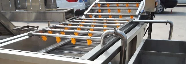 
Vegetable and Fruit Washing Machine Washing Line for sale 