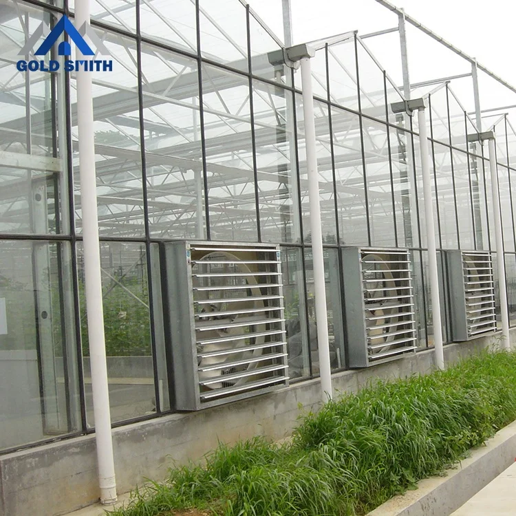 China Greenhouse Supplier Gold Smith Agricultural Glass Greenhouse