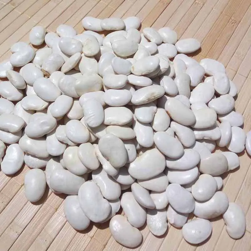 Органические навалом бобы Лимы оптовой