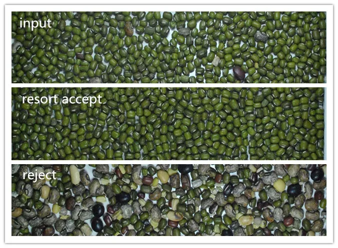 M128 Newest blueberries sorter rice mill color sorter germany almond color sorter