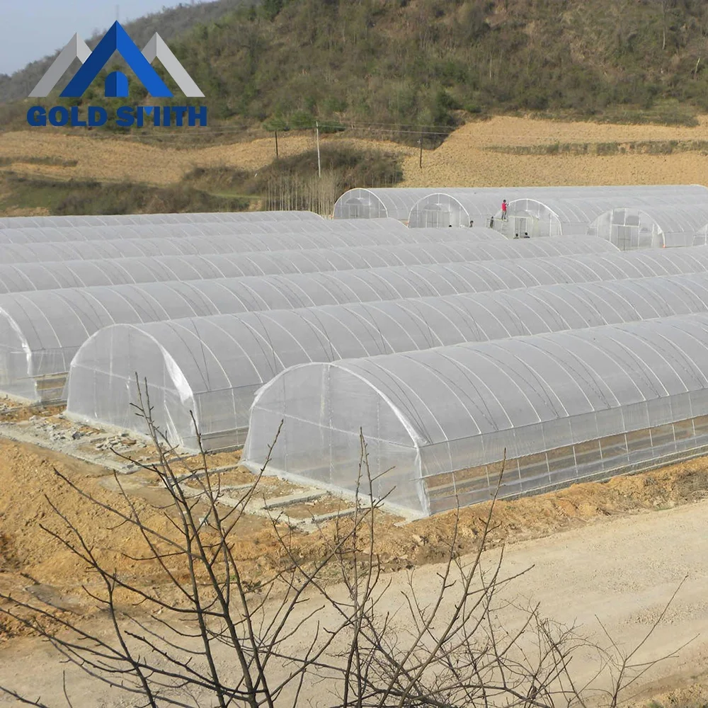 
Film Covering Low Cost Single Span Hydroponic Greenhouse for Sale 