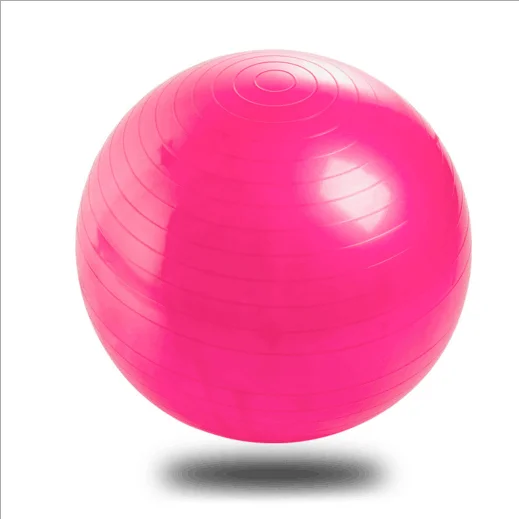
New 65cm PVC Anti-Burst Fitness Gym Ball 