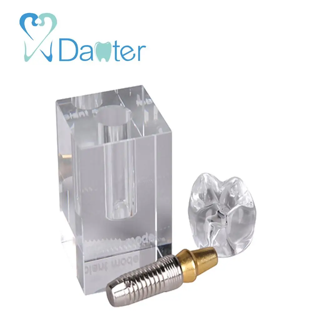 Top Seller Crystal Implant Removable Teeth Model Dental Implant Model for Demonstration