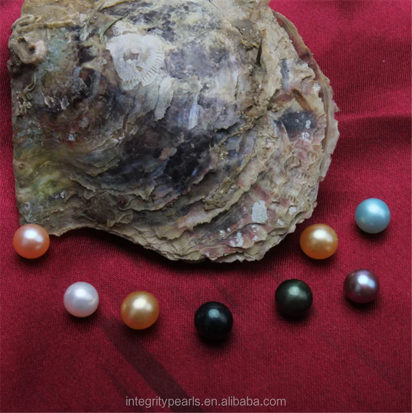 
100pcs vacuum-packed wholesale 6-7mm round sea akoya pearl oyster 