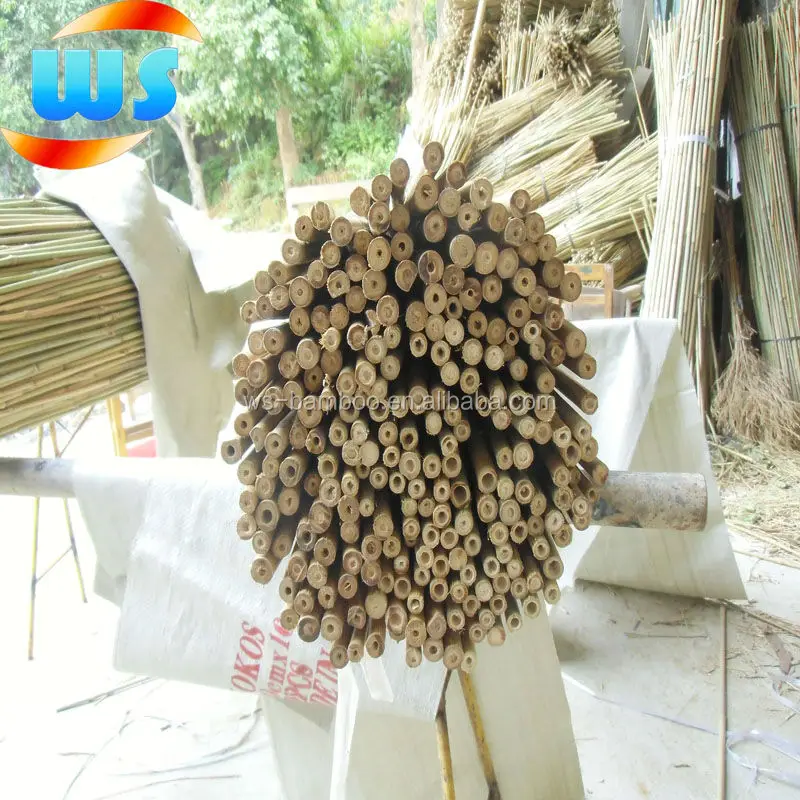 Bamboo Garden Supplies/Bamboo cane for support grape growing 150cm 12--14mm