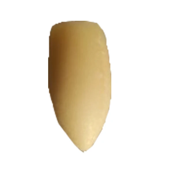 
Vaginal Suppository for Vagina Fungal Infection Especially Candidal Vulvovaginosis 