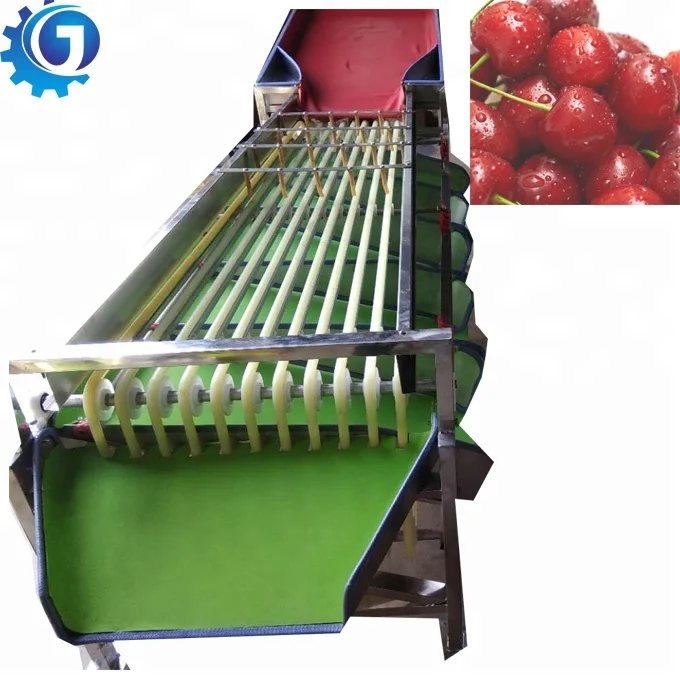 Orbital type fruit automatic sorting machine size grading machine no harm for fruit