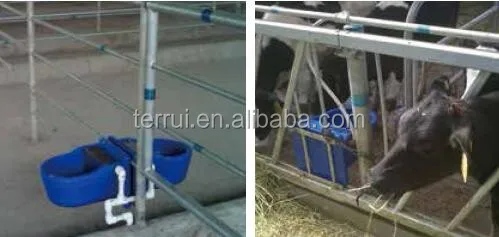 
Chinese leading manufacturer of Plastic automatic self-filling animal drinker 