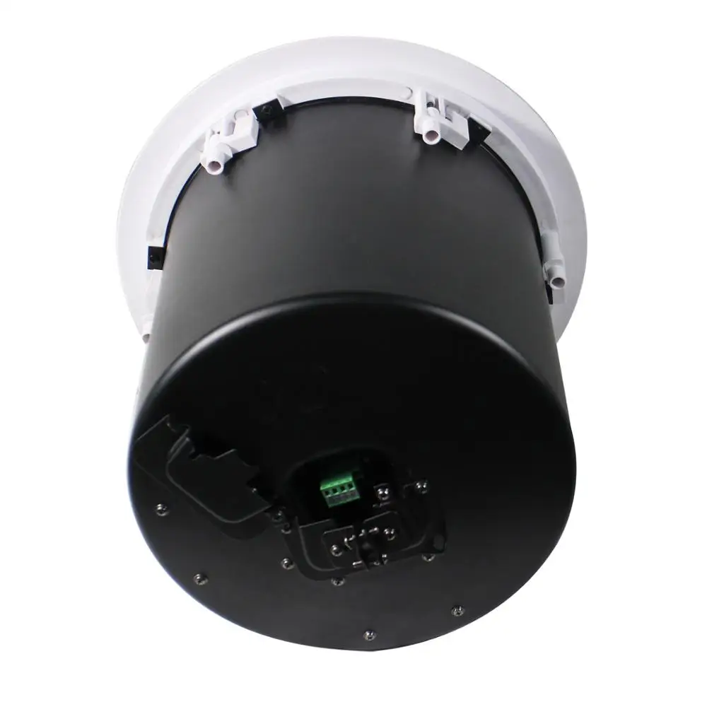 10 inch 60/120/240W at 4 ohm subwoofer ceiling speaker with heavy metal fire dome suitable for sub bass applications