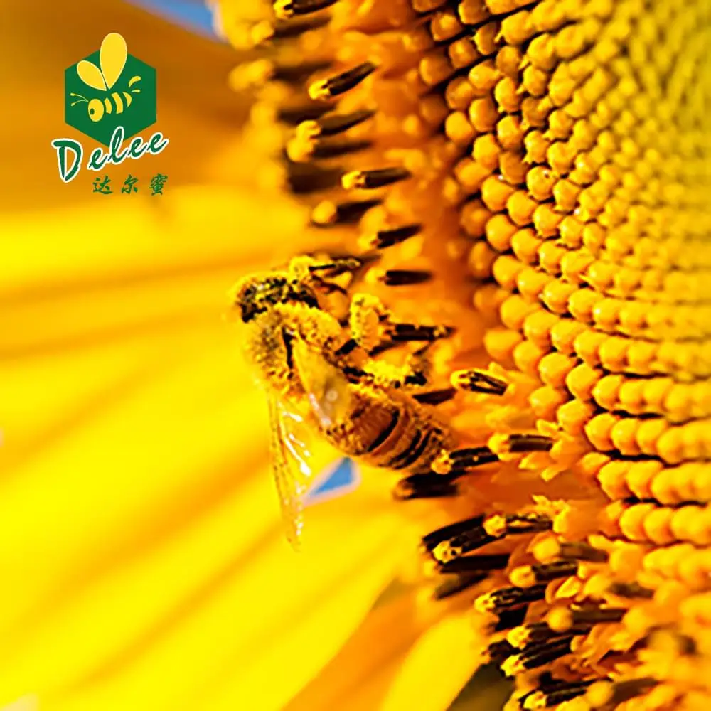 Высококачественный натуральный полицветочный мед для продажи